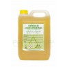 CHAMPU DE COCHES 10 LITORS